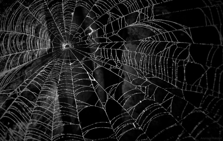The Web