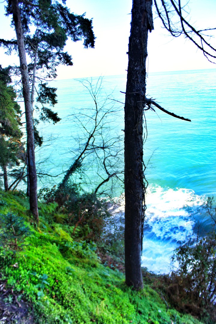 Sea