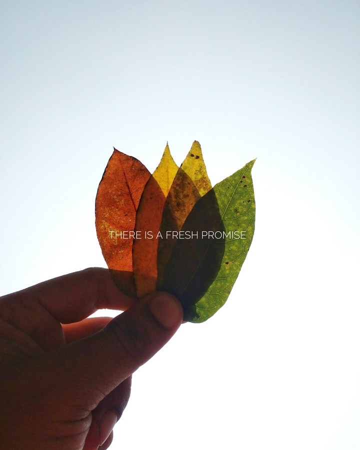 there is a fresh promise