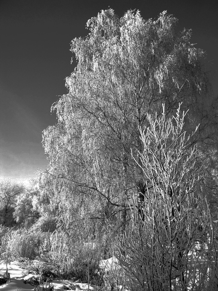 Snow