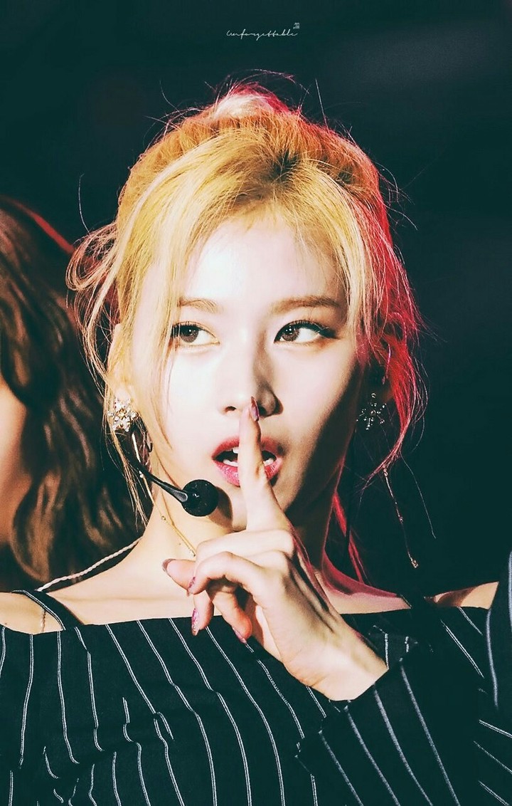 sanaaa