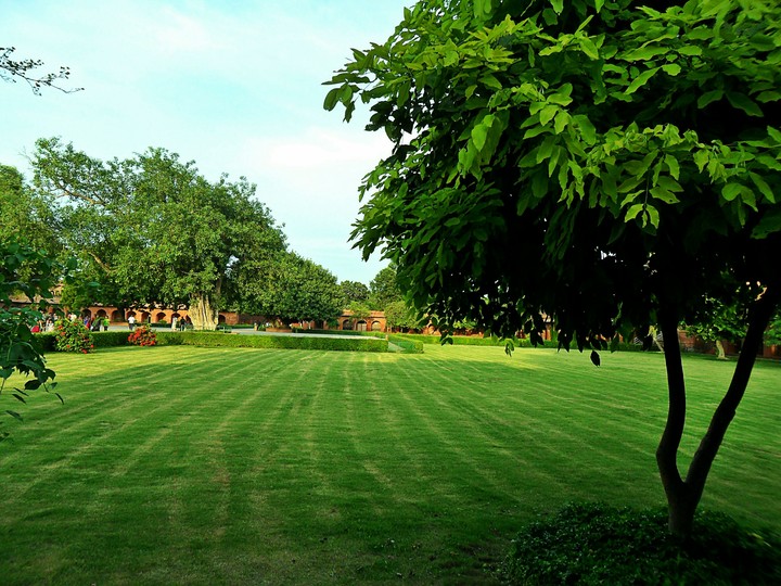 Tajmahal Garden