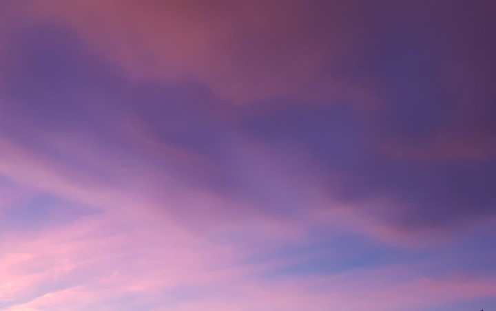 purple horizon