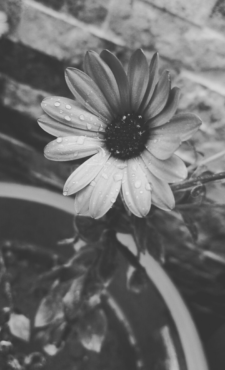 b&w
