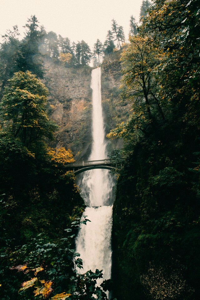 nature beauty