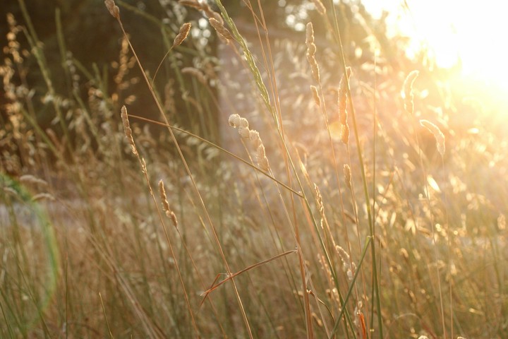 Warm colors