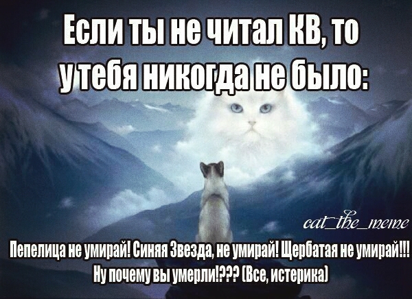 правда о кв