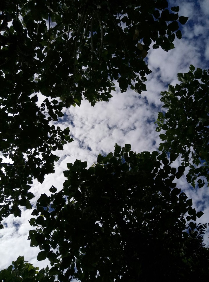 sky3