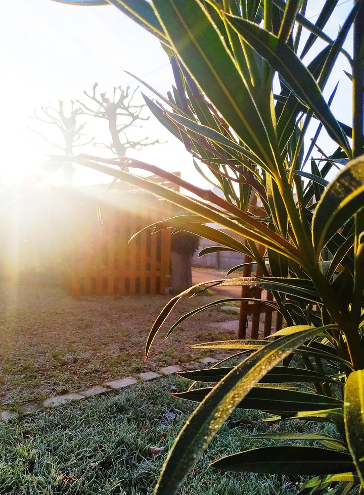 soleil et hiver