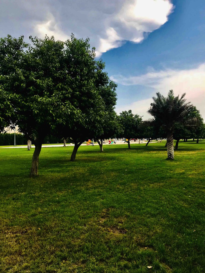 Neighborhood park