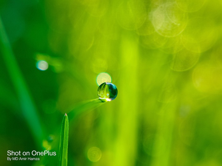 water drop