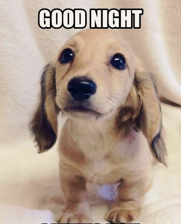 Good Night  Saturday