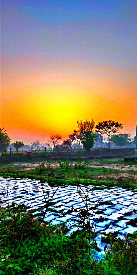MORNING_SHOT