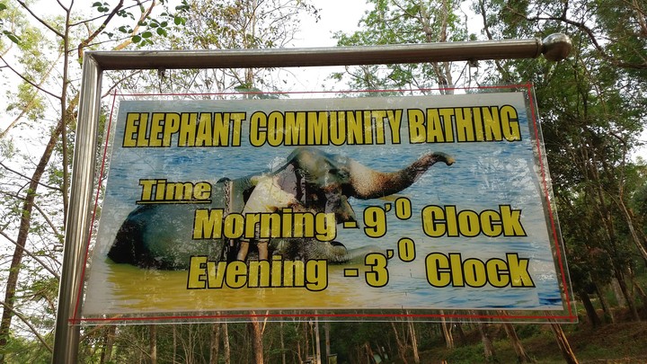 elephant Park