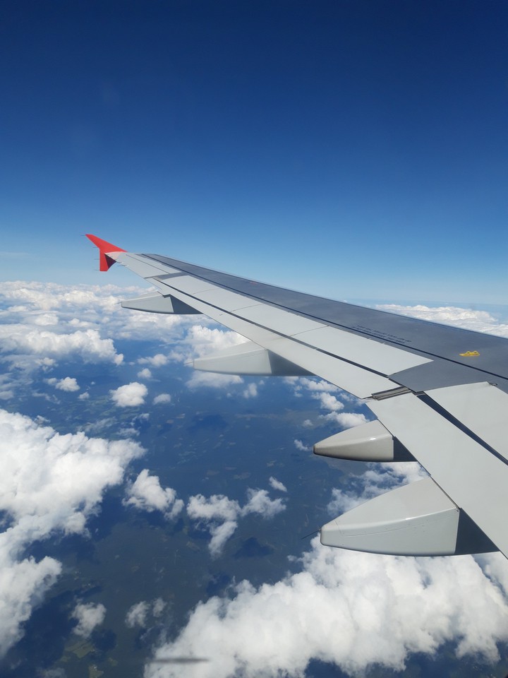 Plane view