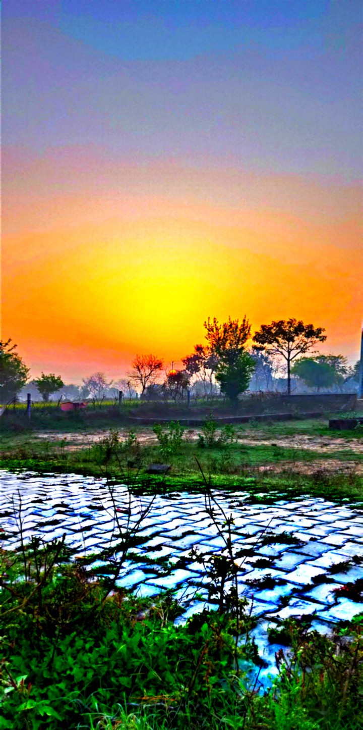 MORNING_SHOT