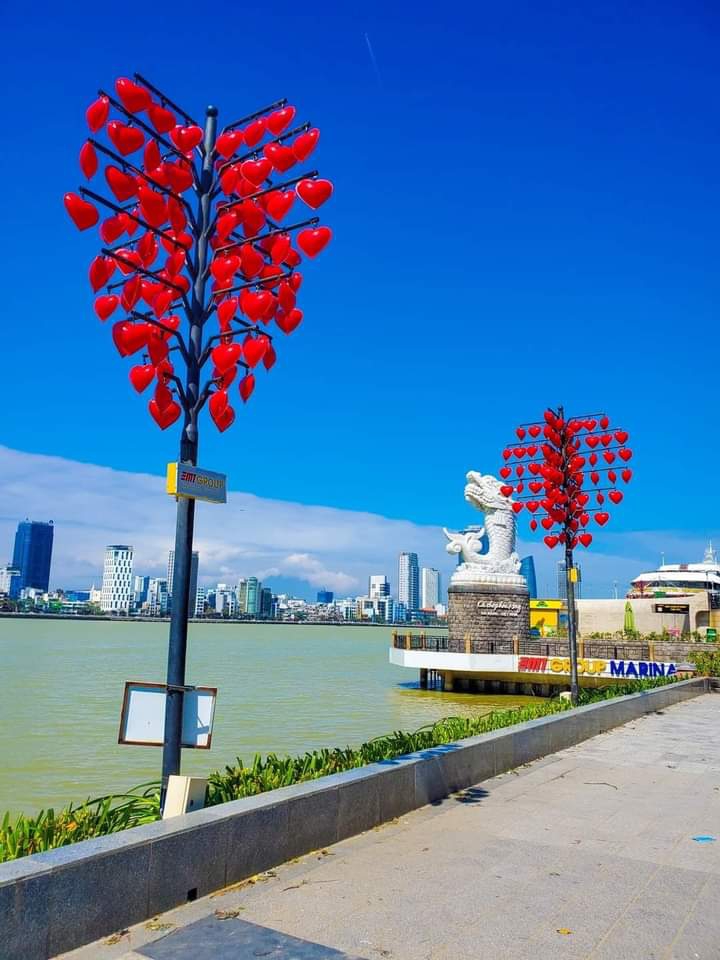 Đà Nẵng - Việt Nam