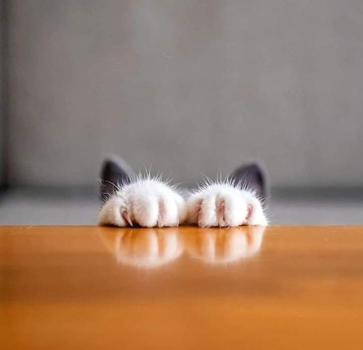 ~