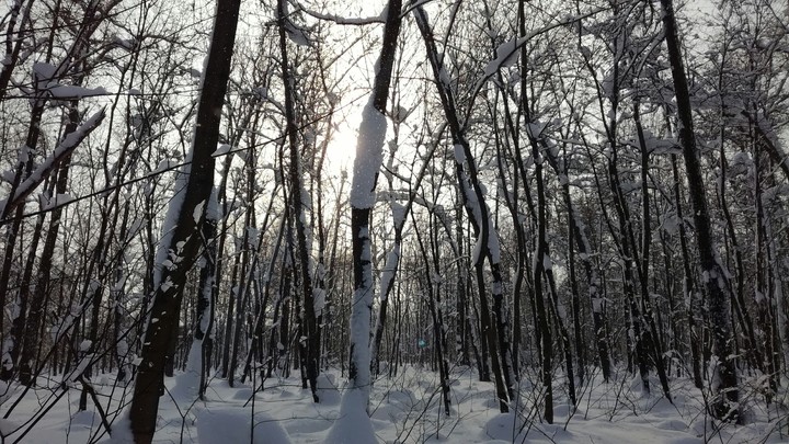 winter2)