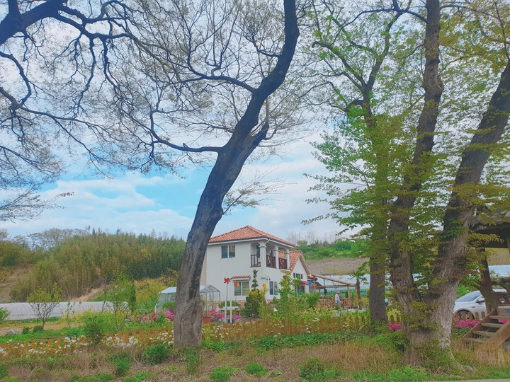 house