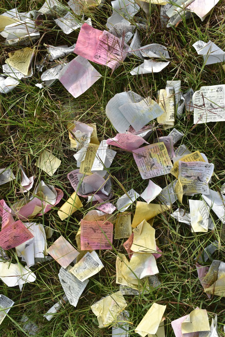 papers on the grass