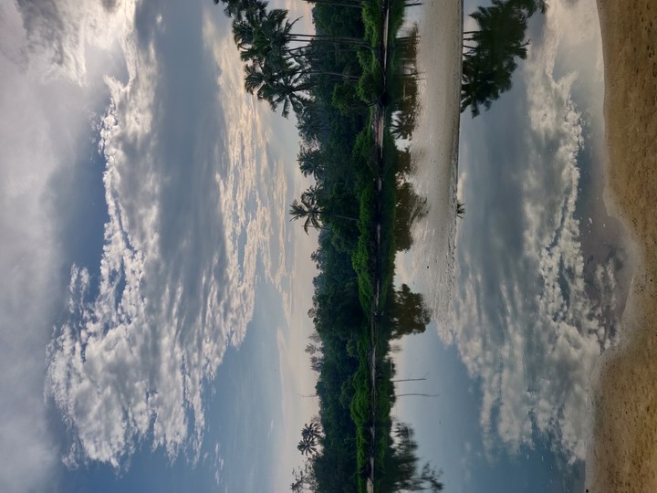 idiosyncratic Human click