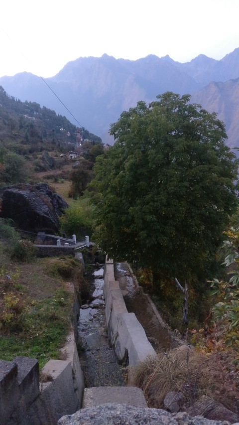 beautiful auli
