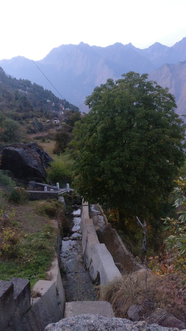 beautiful auli
