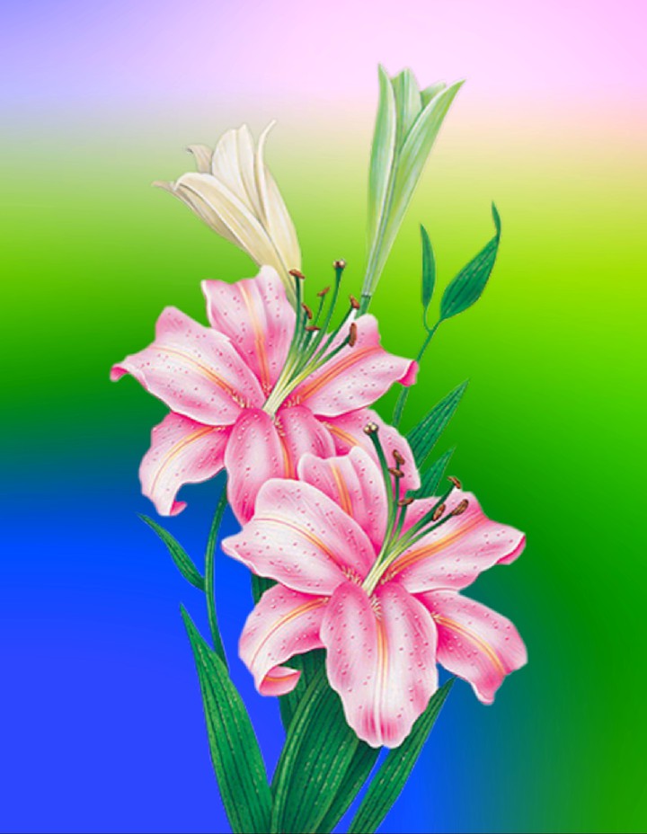 flower