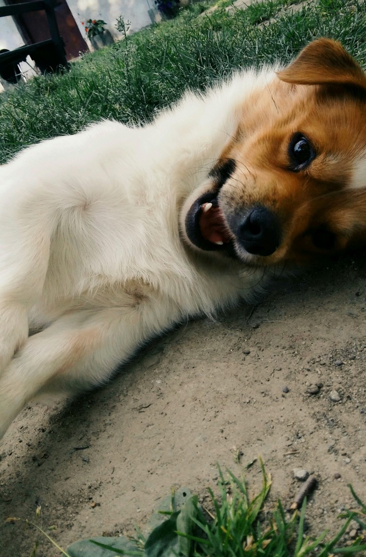 Don't touch me !!!