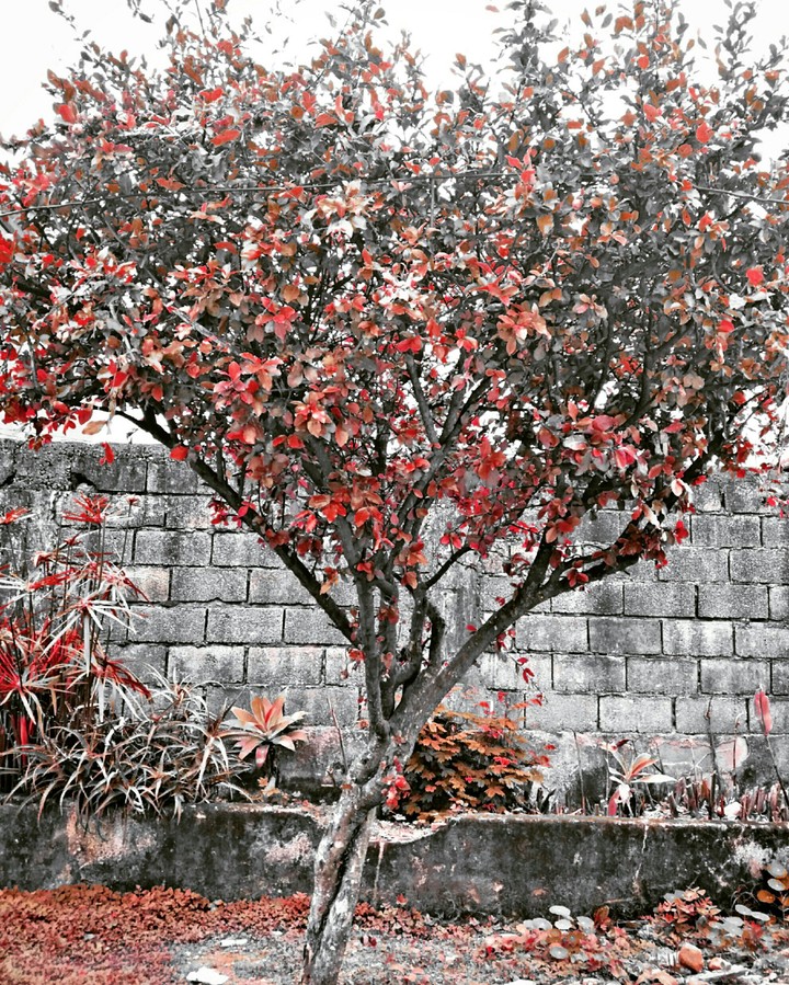 Cold day