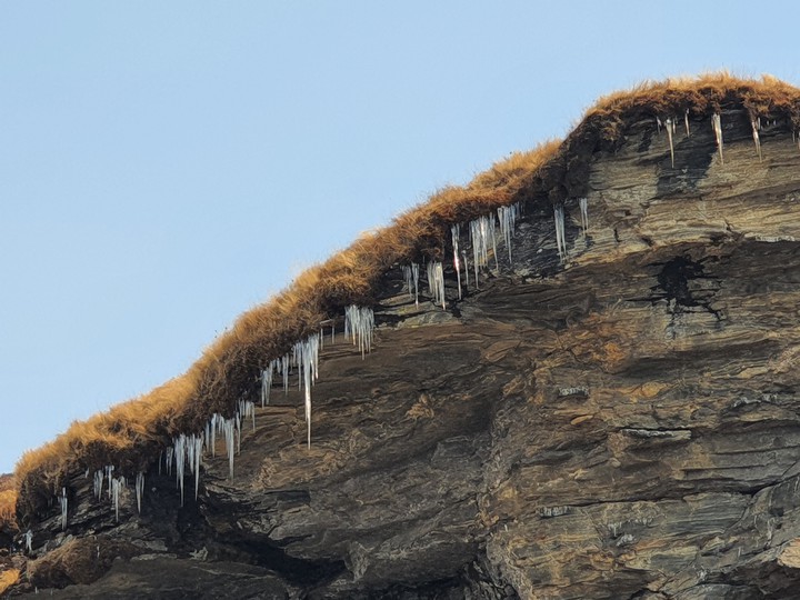 stubborn ice