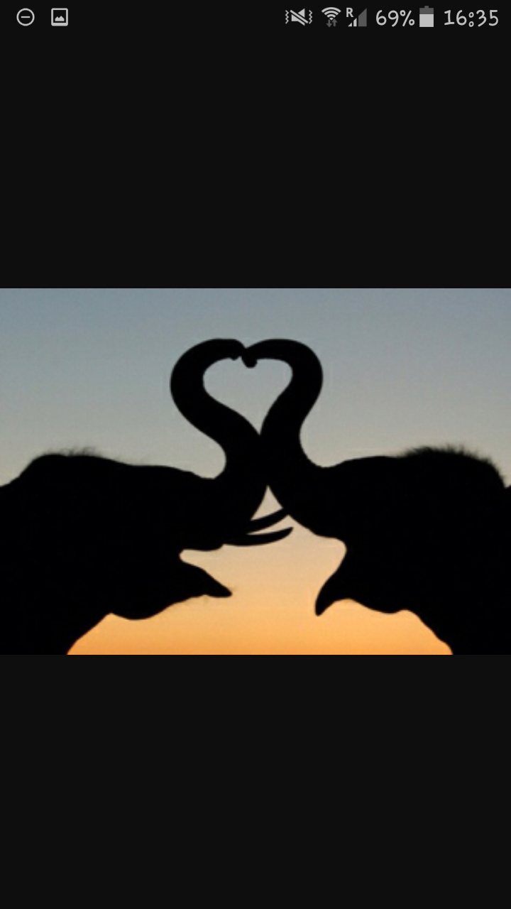 love not hate