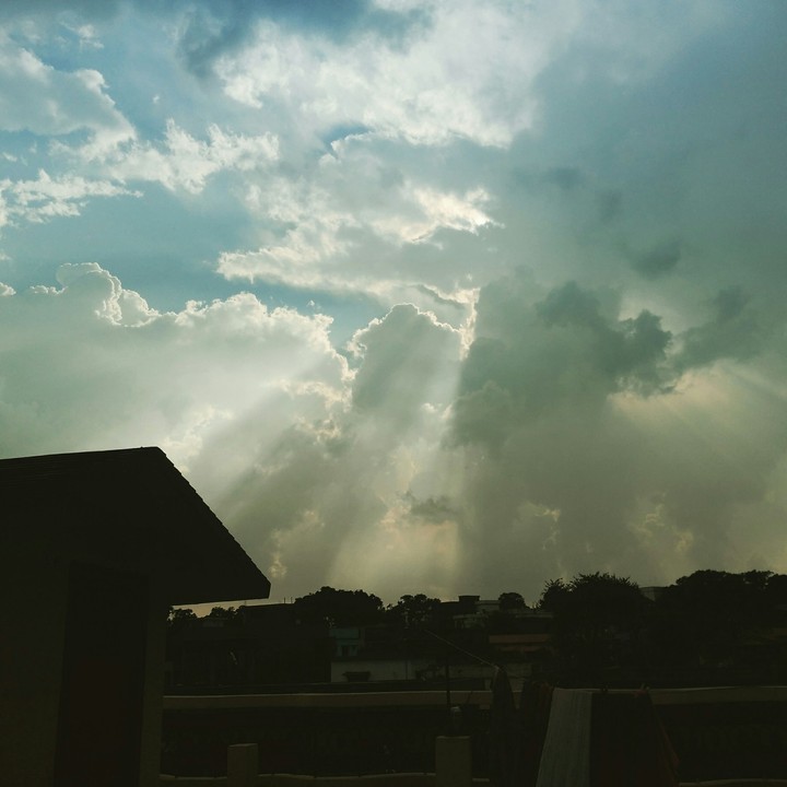 Sun Rays