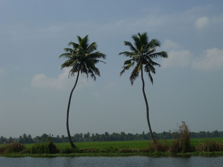 Coco couple @ aleppy,kerala