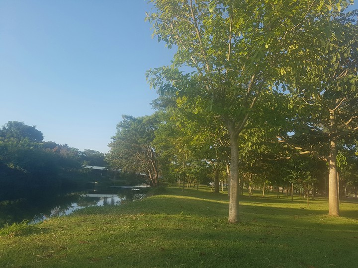 Nature