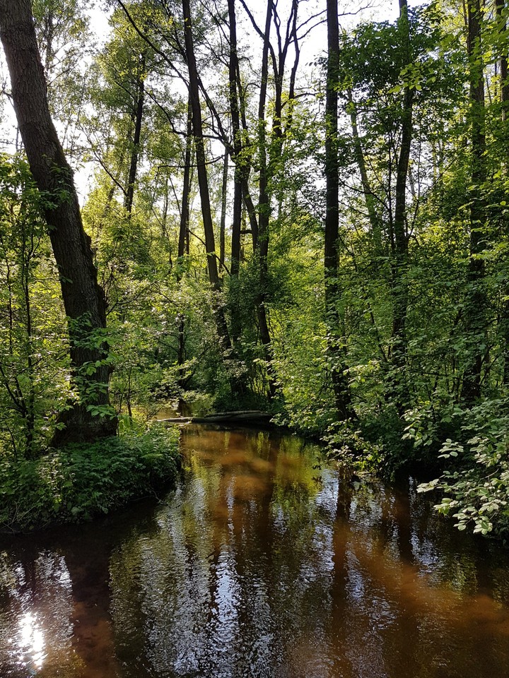 Natura
