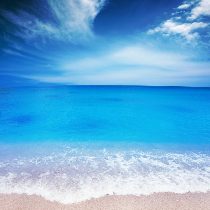 Sea