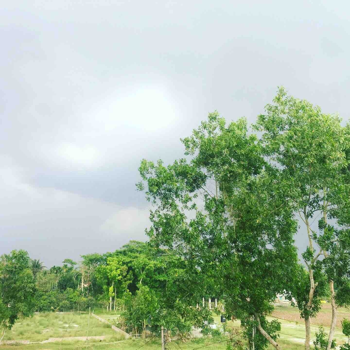 clouds