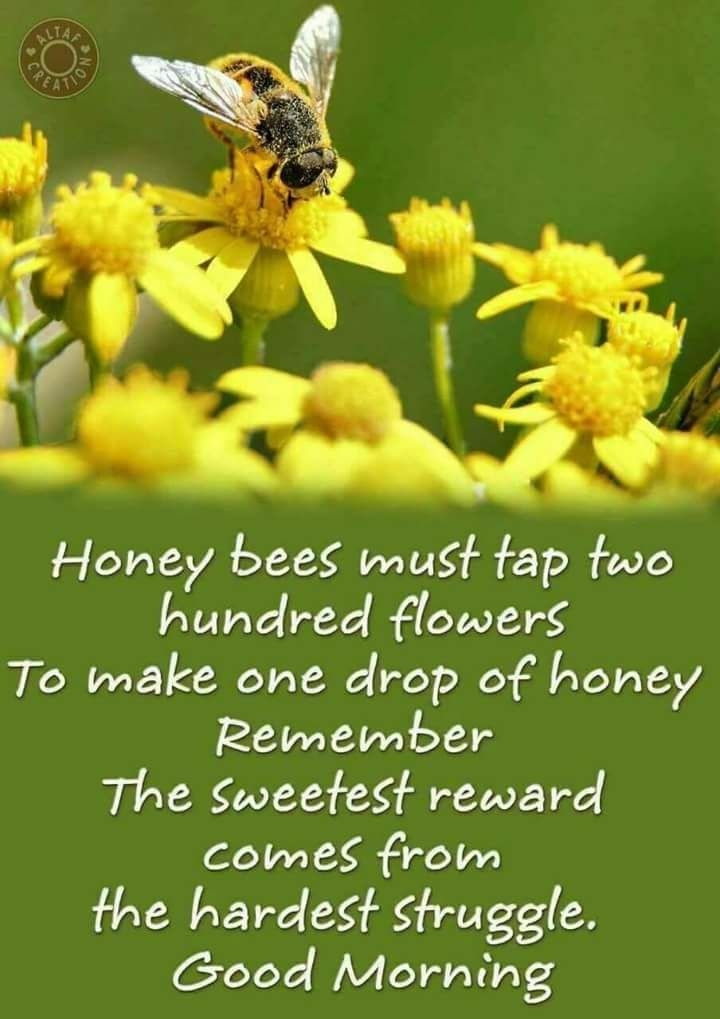 Good morning