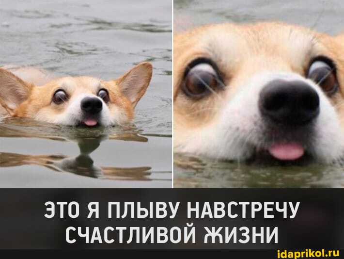 хахахахахахахахахахахахахаах
