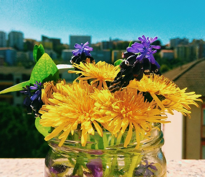spring colors