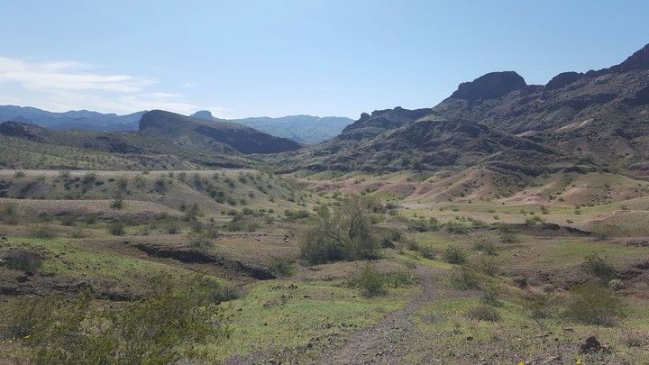 Sara Trail
