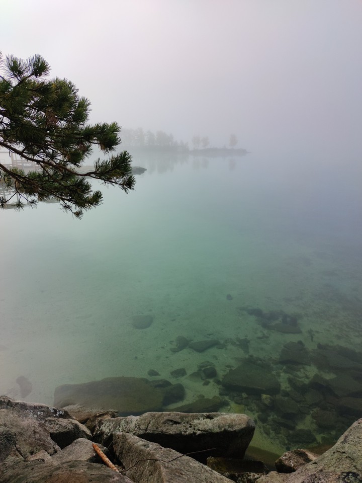 fog