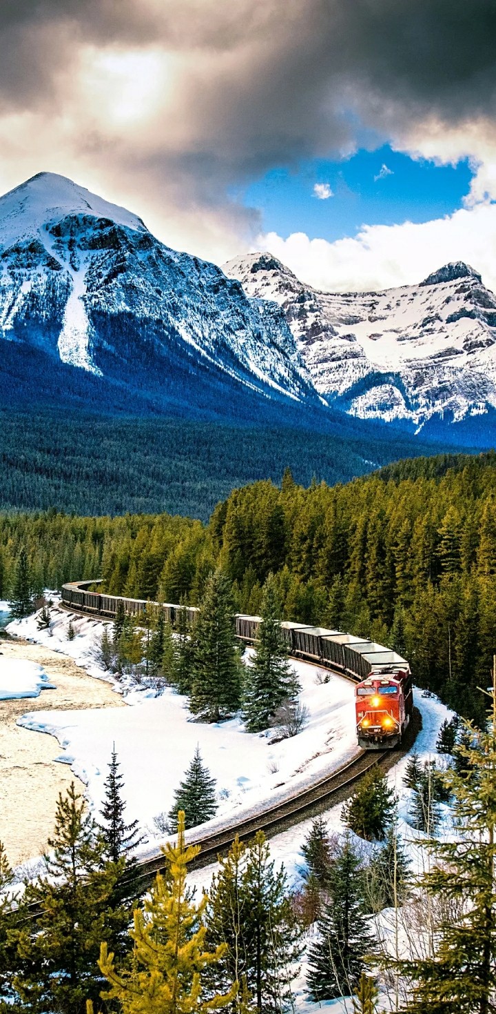 mini train