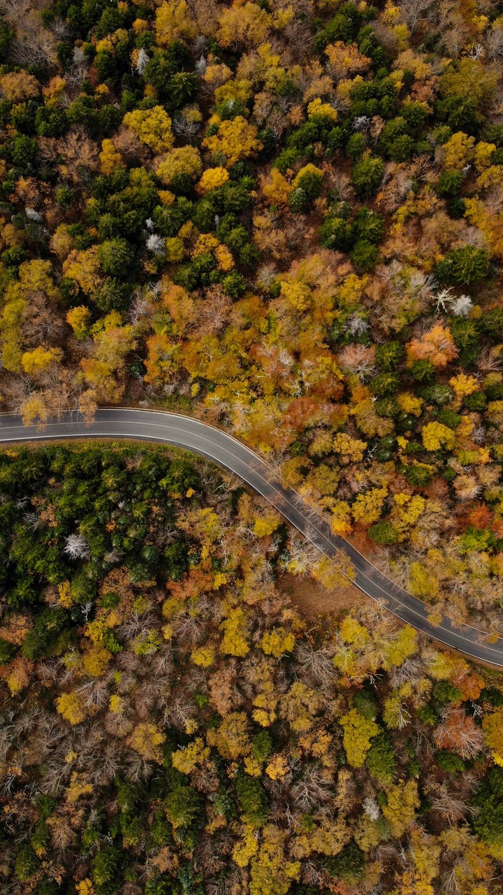Road