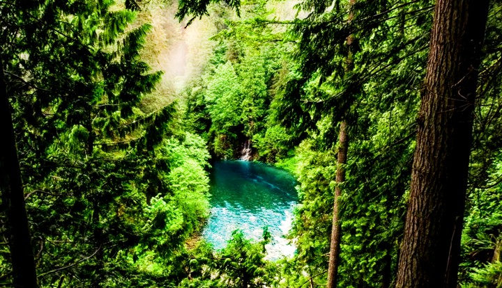nature