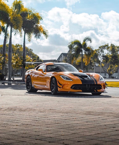 viper