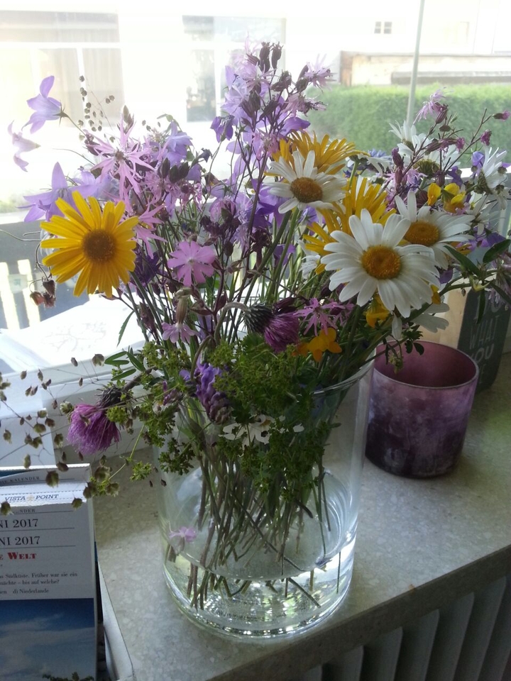 first spring flowers