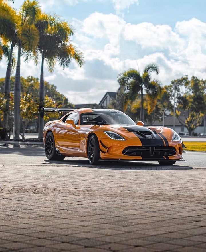viper